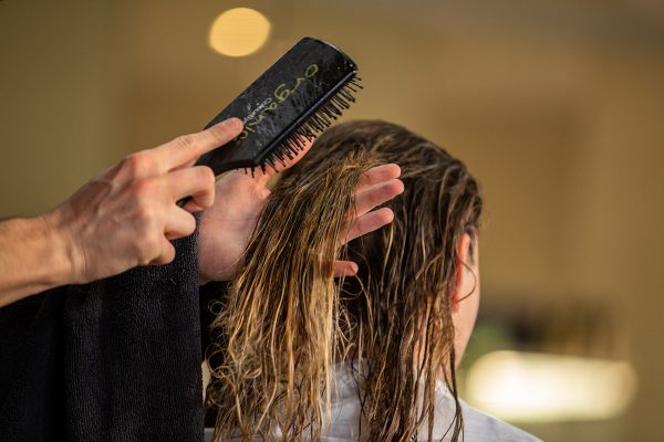 Woman Hairbrushing Beautiful Long Hair