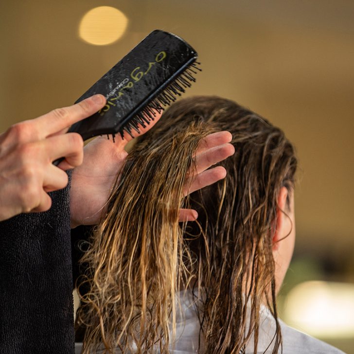 Woman Hairbrushing Beautiful Long Hair